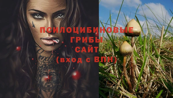 кокаин колумбия Богородицк