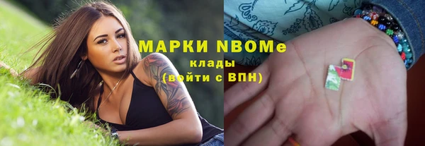 прущие грибы Богданович