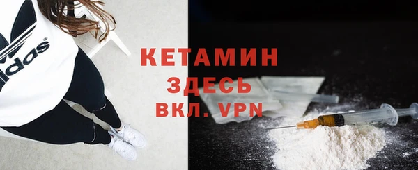 прущие грибы Богданович