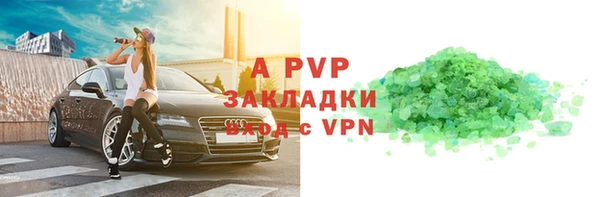 прущие грибы Богданович