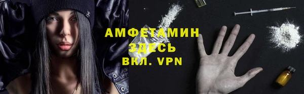 прущие грибы Богданович