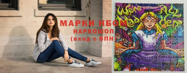 прущие грибы Богданович