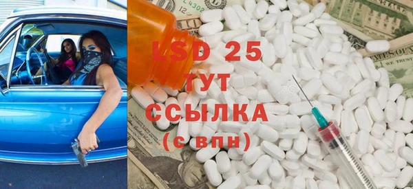прущие грибы Богданович