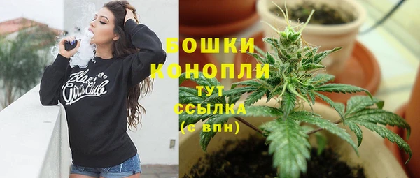 прущие грибы Богданович