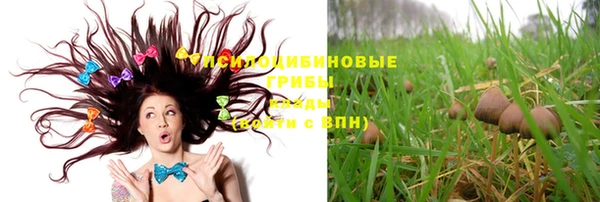прущие грибы Богданович