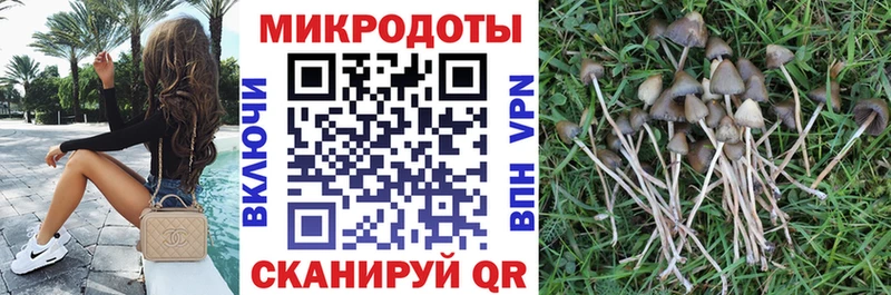 блэк спрут как зайти  Кириллов  Псилоцибиновые грибы MAGIC MUSHROOMS  наркошоп 